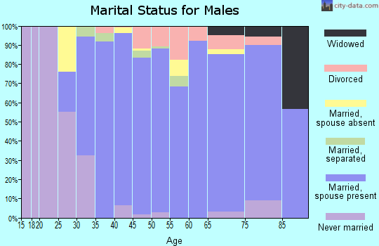 Zip code 19425 marital status for males