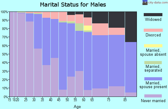 Zip code 19428 marital status for males