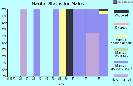 Zip code 19436 marital status for males