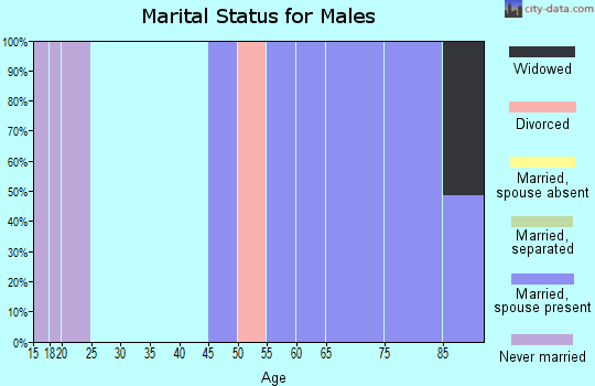 Zip code 19437 marital status for males