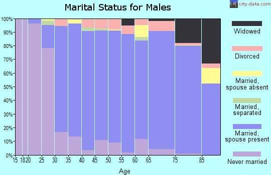 Zip code 19438 marital status for males