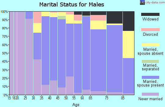 Zip code 19444 marital status for males