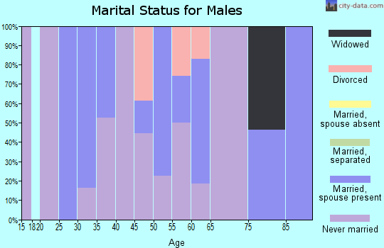 Zip code 19453 marital status for males