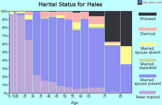 Zip code 19454 marital status for males