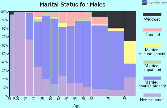 Zip code 19460 marital status for males