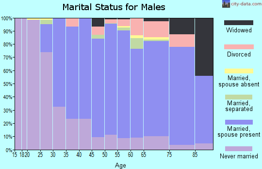 Zip code 19462 marital status for males