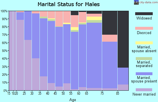 Zip code 19465 marital status for males