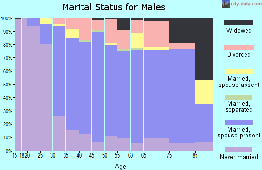 Zip code 19468 marital status for males