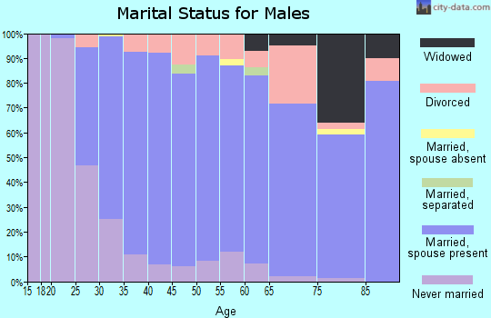 Zip code 19473 marital status for males