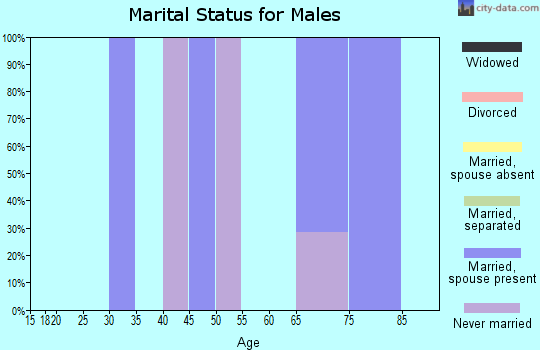 Zip code 19474 marital status for males