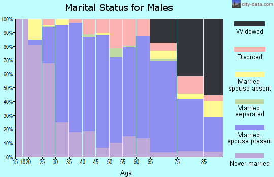 Zip code 19475 marital status for males