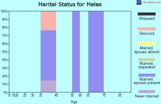 Zip code 19478 marital status for males