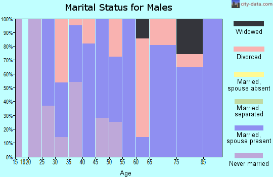 Zip code 19501 marital status for males