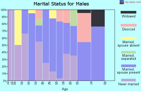Zip code 19503 marital status for males