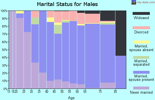 Zip code 19506 marital status for males
