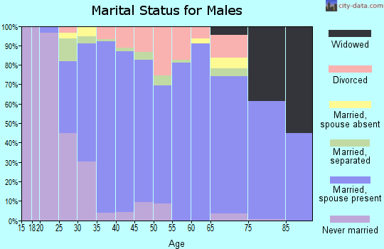 Zip code 19518 marital status for males