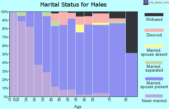 Zip code 19520 marital status for males