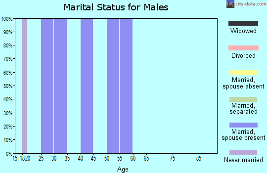 Zip code 19523 marital status for males