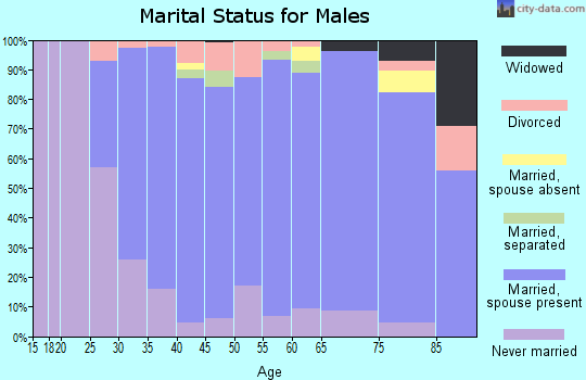 Zip code 19525 marital status for males