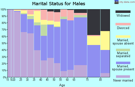 Zip code 19533 marital status for males
