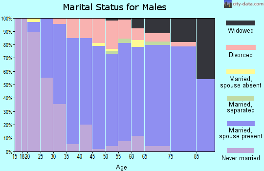 Zip code 19540 marital status for males