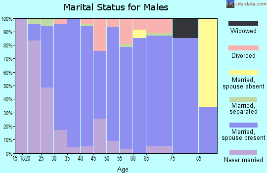 Zip code 19543 marital status for males