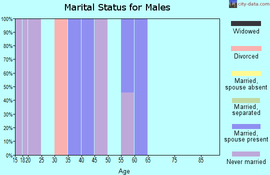 Zip code 19545 marital status for males