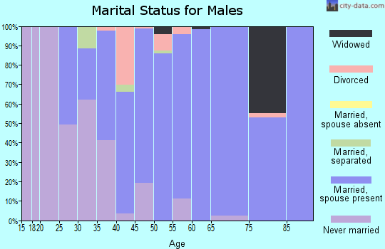 Zip code 19547 marital status for males
