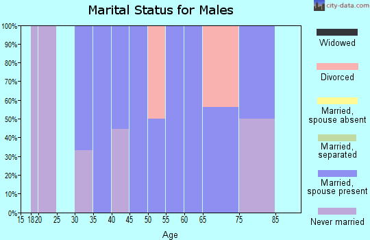 Zip code 19549 marital status for males