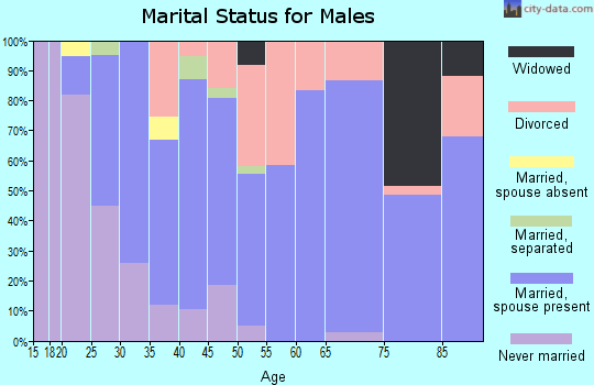 Zip code 19555 marital status for males
