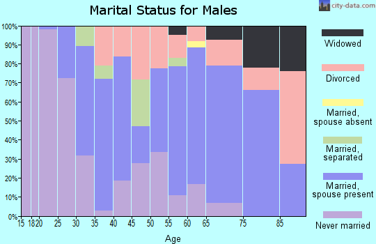 Zip code 19560 marital status for males