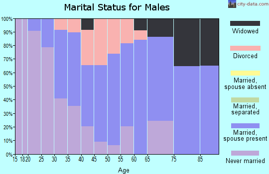 Zip code 19562 marital status for males