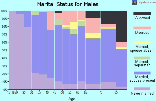 Zip code 19565 marital status for males