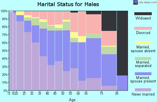 Zip code 19601 marital status