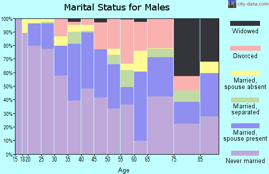 Zip code 19602 marital status for males