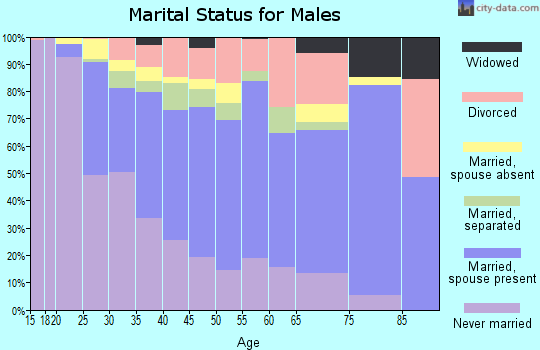 Zip code 19604 marital status for males