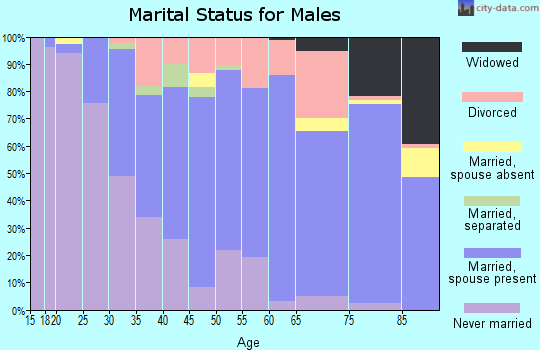 Zip code 19607 marital status for males