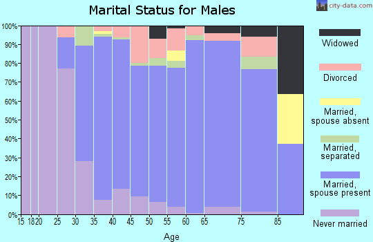 Zip code 19608 marital status for males