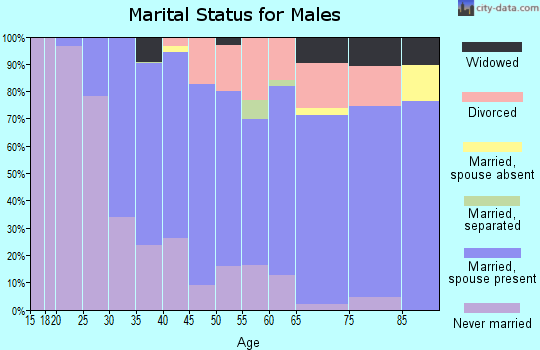 Zip code 19609 marital status for males