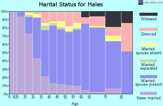 Zip code 19702 marital status