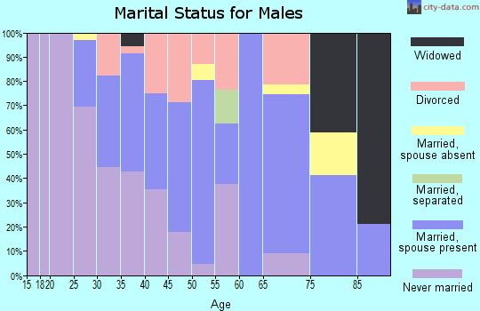 Zip code 19706 marital status for males