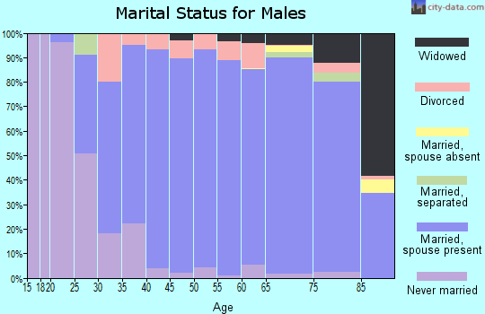 Zip code 19707 marital status for males