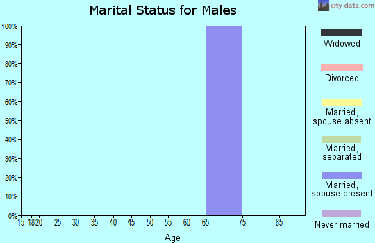 Zip code 19710 marital status for males