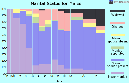 Zip code 19713 marital status for males