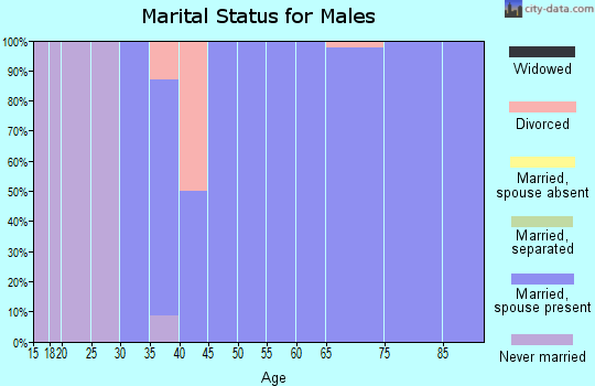Zip code 19730 marital status for males