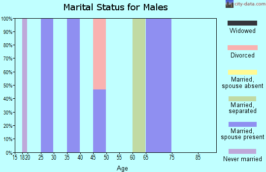 Zip code 19731 marital status for males