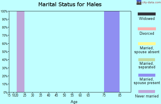 Zip code 19732 marital status for males