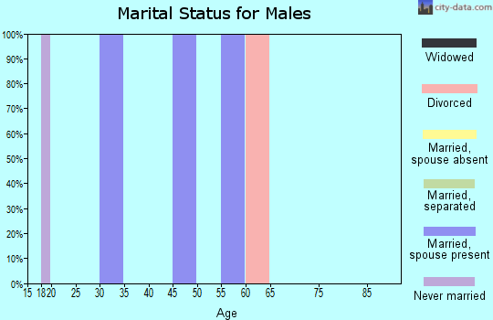 Zip code 19733 marital status for males