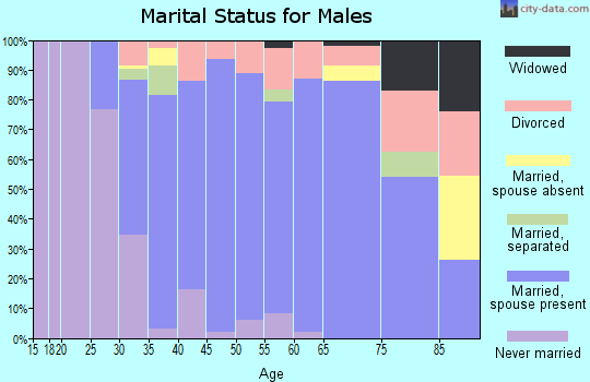 Zip code 19734 marital status for males