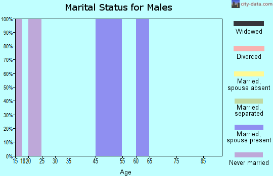 Zip code 19736 marital status for males